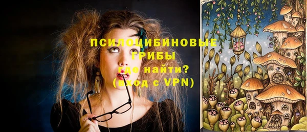 герыч Алексин