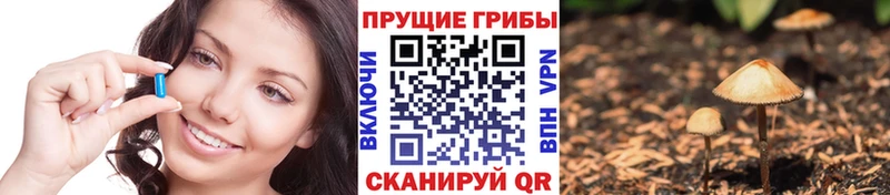 Галлюциногенные грибы прущие грибы  Безенчук 